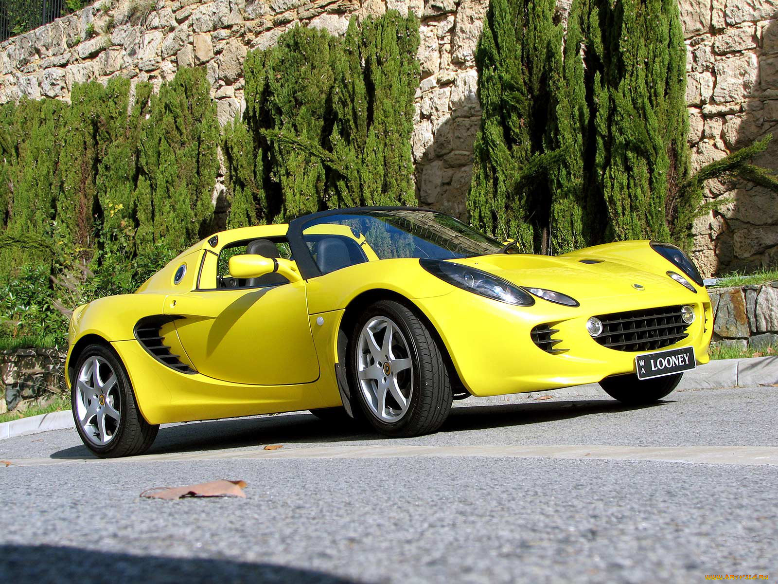 , lotus, elise